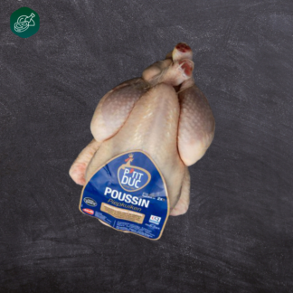 Piepkuiken Poussin